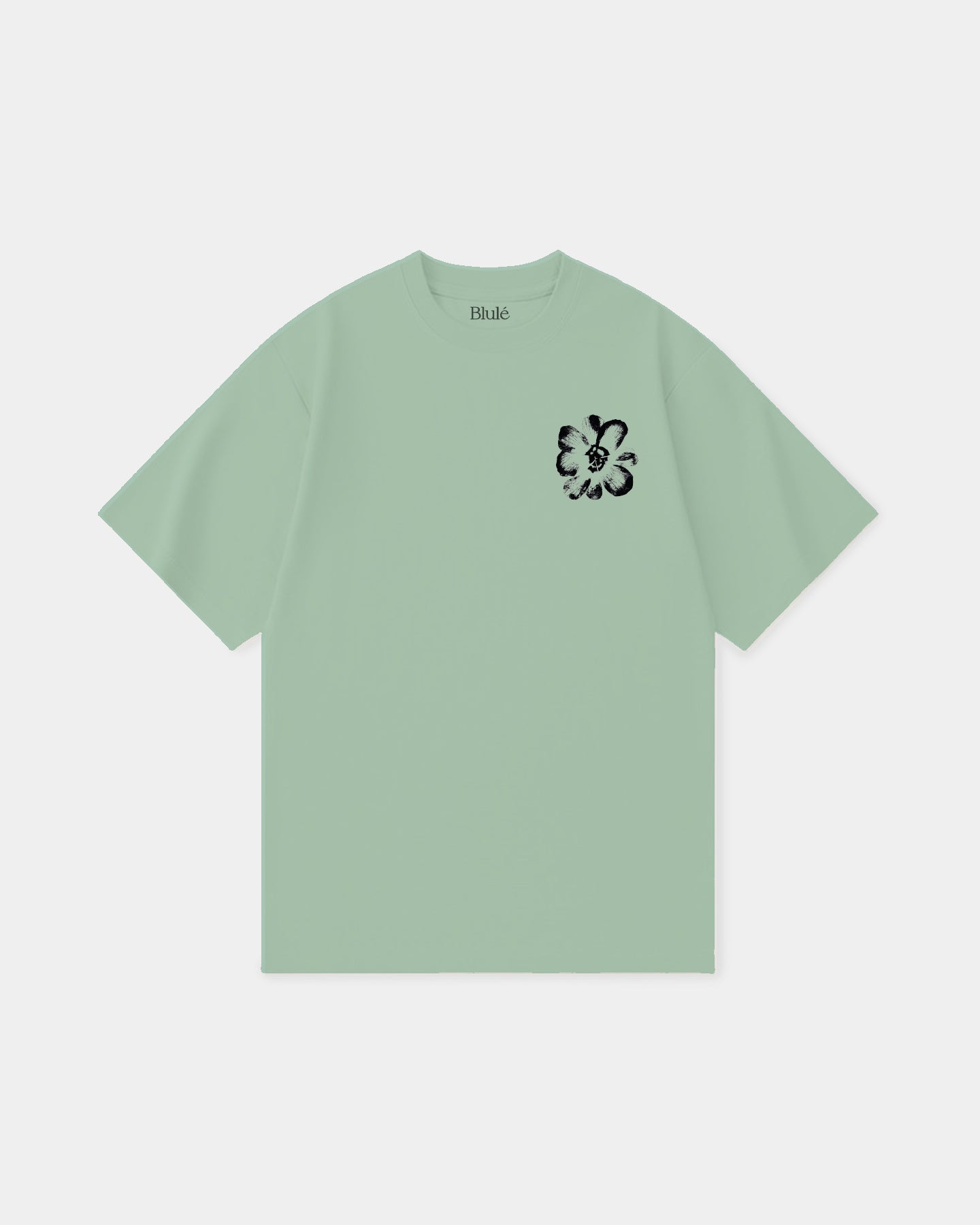 Oversized T Shirt Iridescence Light Green