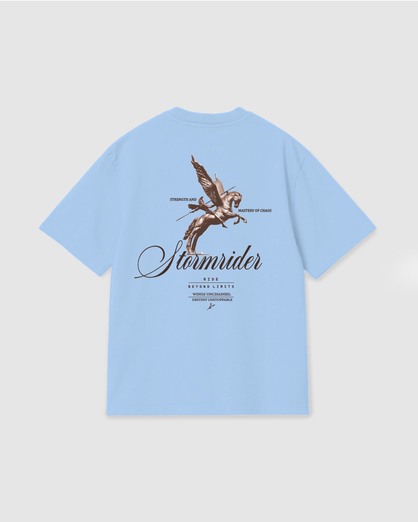 Oversized T Shirt Stormrider Sky Blue