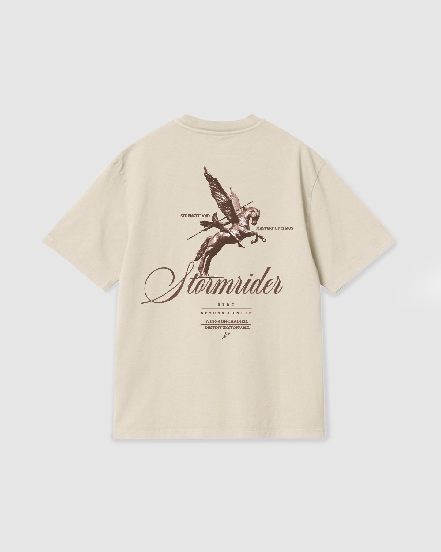 Oversized T Shirt Stormrider Vanilla – Blule