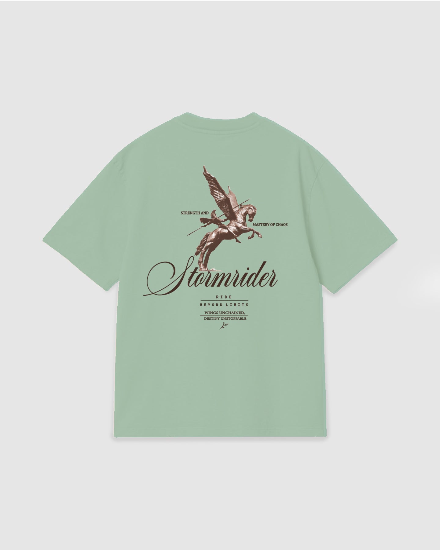 Oversized T Shirt Stormrider Light Green