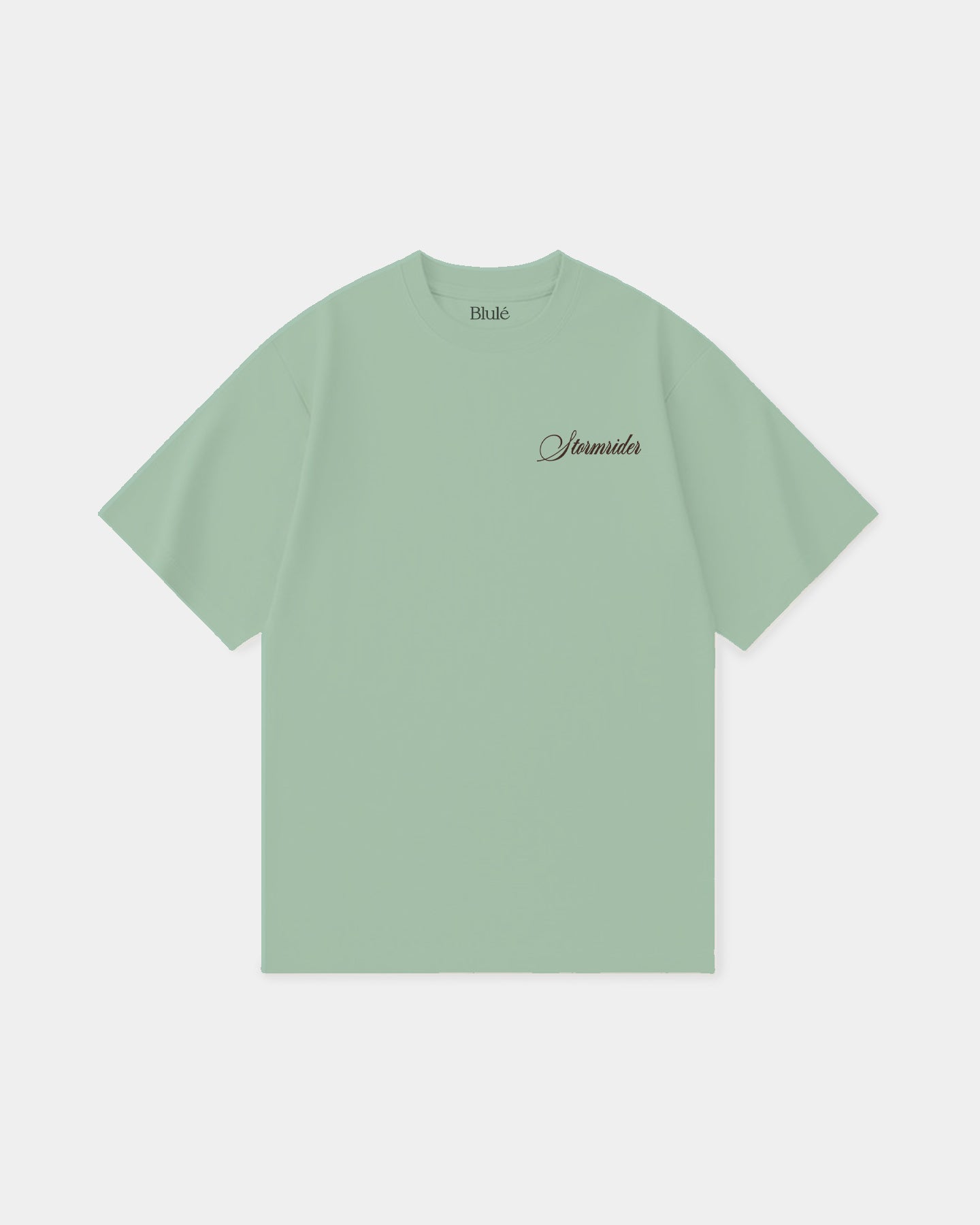 Oversized T Shirt Stormrider Light Green