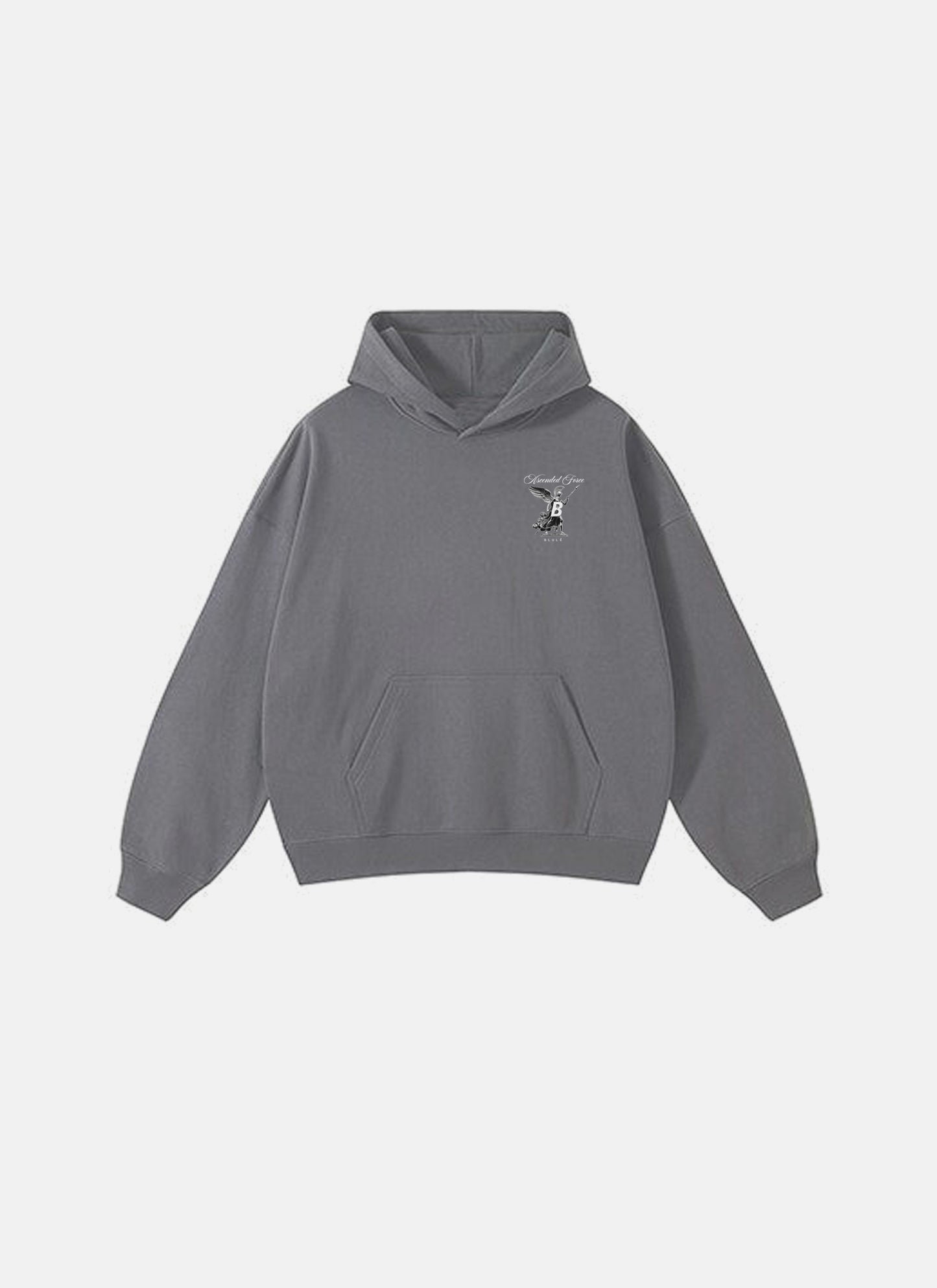 Ascended Force Hoodie Grey