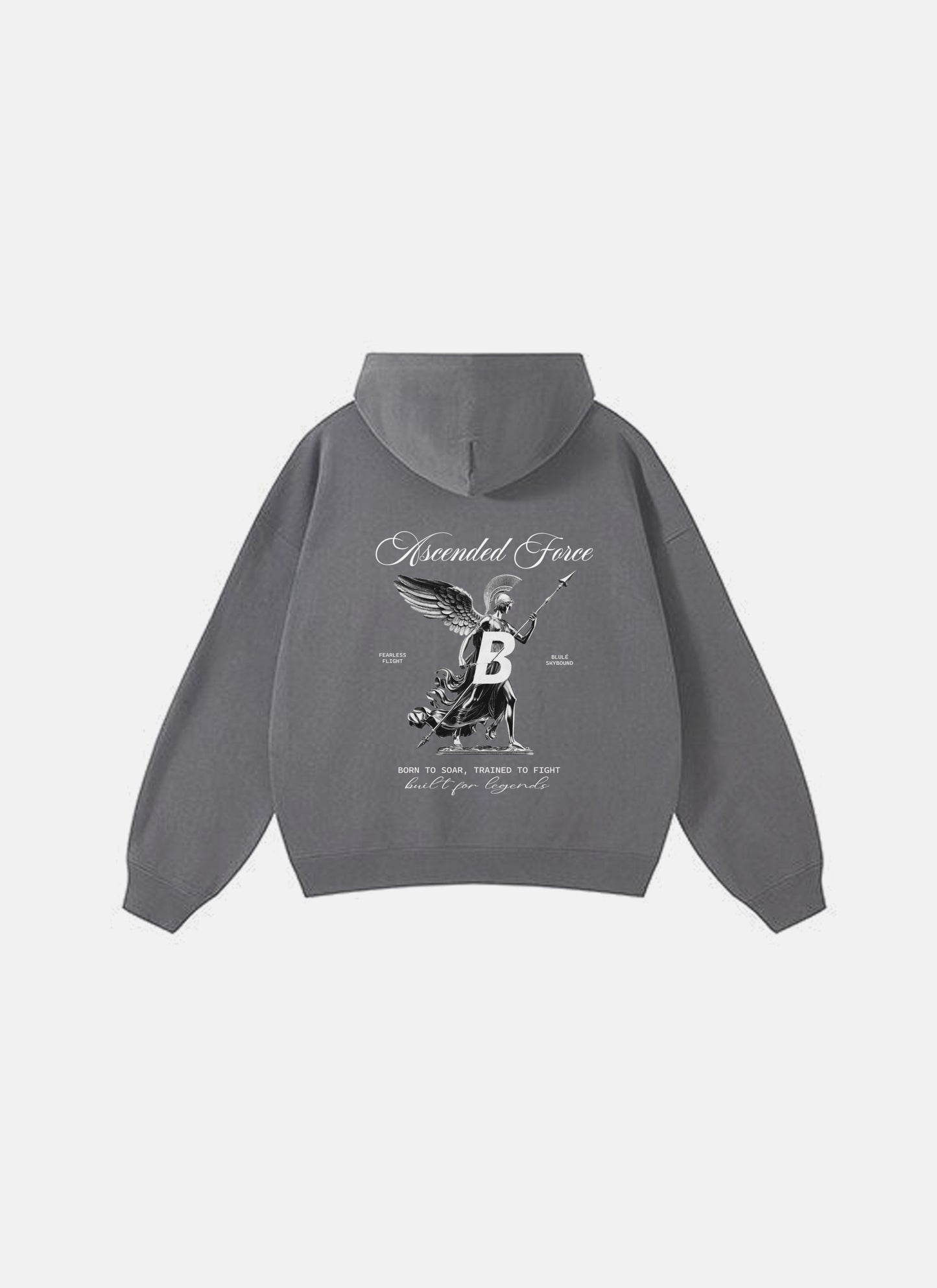 Ascended Force Hoodie Grey